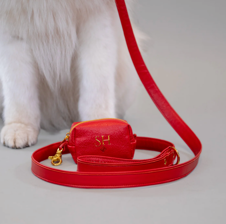 SH: THE ORIGINAL CLEAN-UP CARRIER