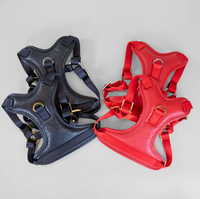 SH: THE ORIGINAL HARNESS